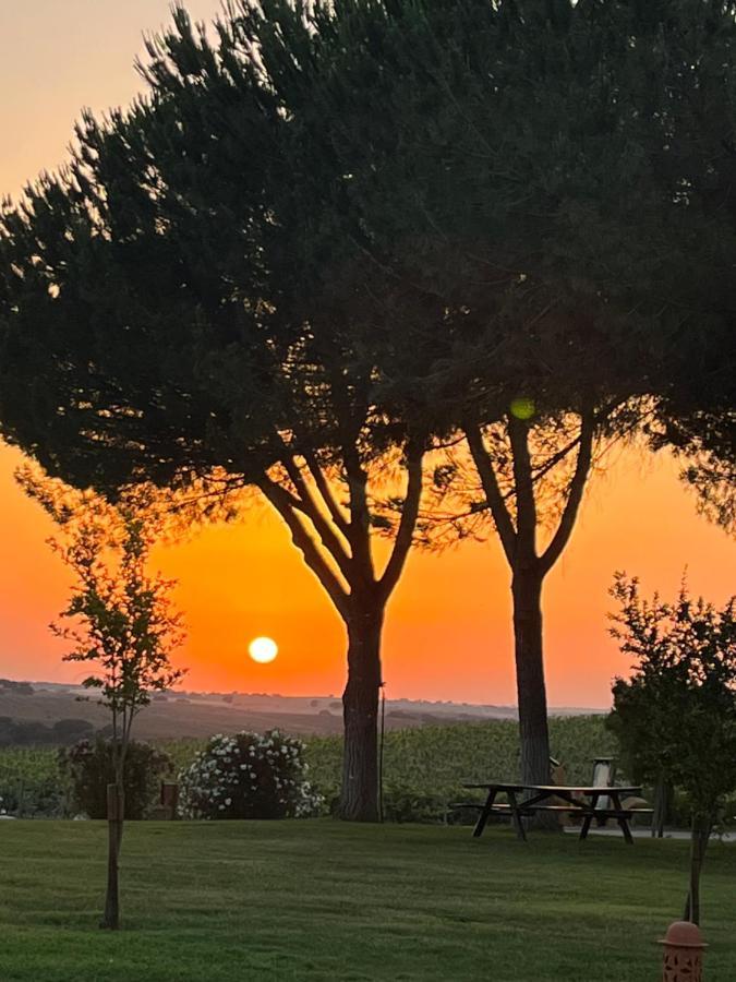 Quinta Da Amoreira Ferreira Do Alentejo Buitenkant foto