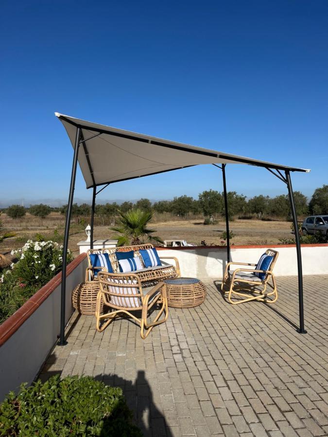 Quinta Da Amoreira Ferreira Do Alentejo Buitenkant foto